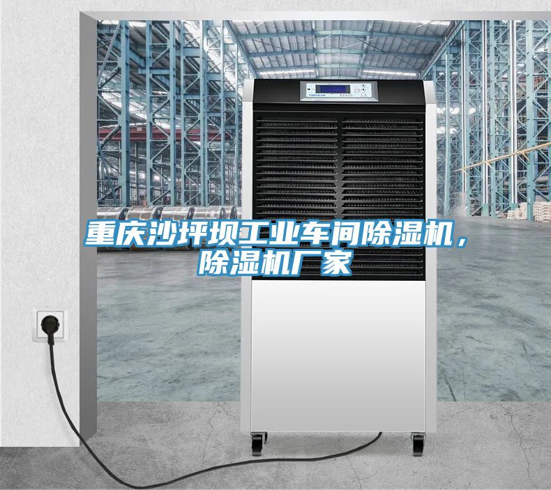 重慶沙坪壩工業(yè)車間除濕機(jī)，除濕機(jī)廠家