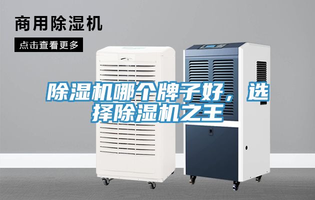 除濕機(jī)哪個(gè)牌子好，選擇除濕機(jī)之王