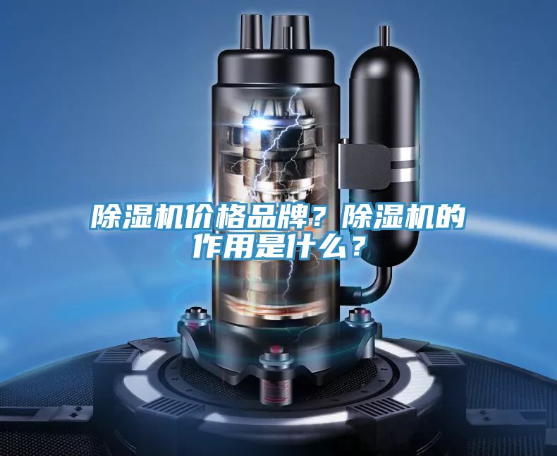 除濕機(jī)價格品牌？除濕機(jī)的作用是什么？