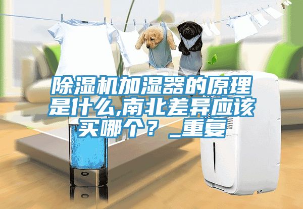 除濕機(jī)加濕器的原理是什么,南北差異應(yīng)該買(mǎi)哪個(gè)？_重復(fù)