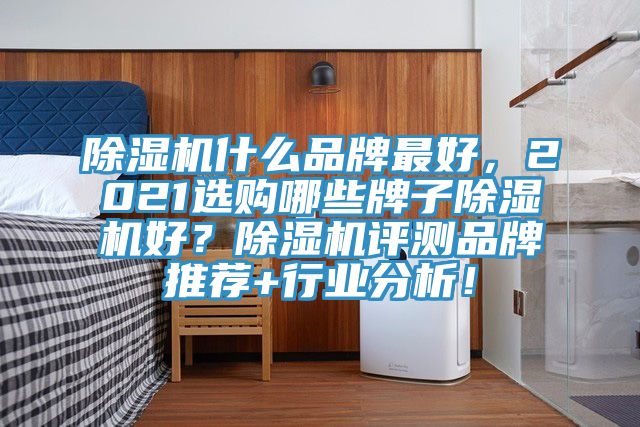 除濕機什么品牌最好，2021選購哪些牌子除濕機好？除濕機評測品牌推薦+行業(yè)分析！