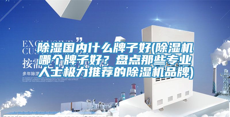 除濕國內(nèi)什么牌子好(除濕機(jī)哪個(gè)牌子好？盤點(diǎn)那些專業(yè)人士極力推薦的除濕機(jī)品牌)