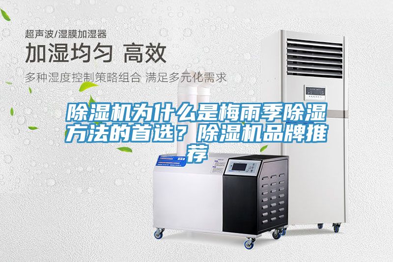 除濕機為什么是梅雨季除濕方法的首選？除濕機品牌推薦
