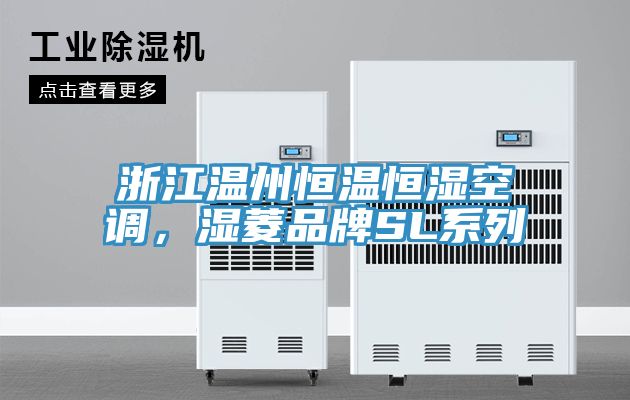 浙江溫州恒溫恒濕空調(diào)，濕菱品牌SL系列