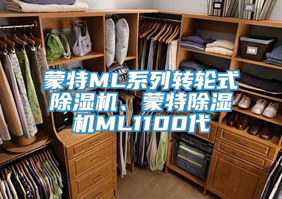 蒙特ML系列轉(zhuǎn)輪式除濕機、蒙特除濕機ML1100代
