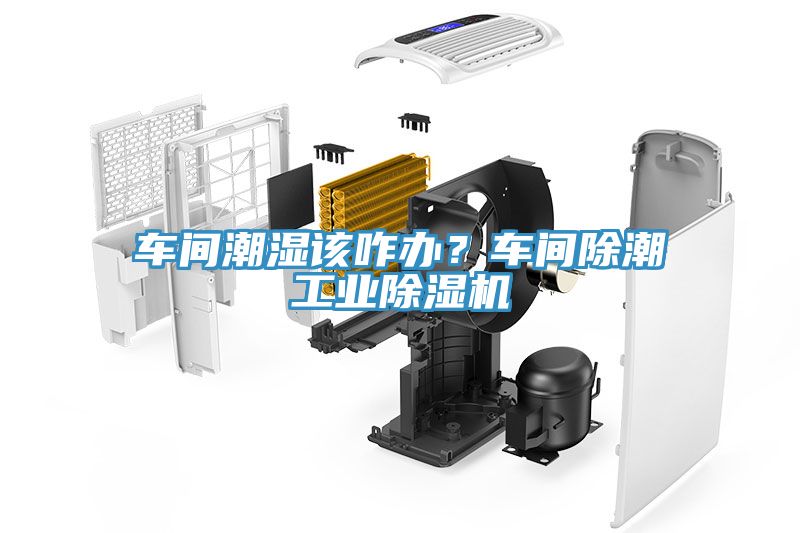 車間潮濕該咋辦？車間除潮工業(yè)除濕機(jī)