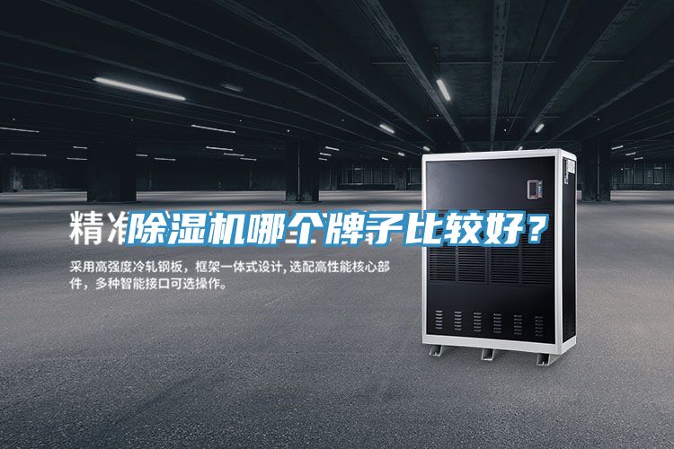 除濕機(jī)哪個(gè)牌子比較好？