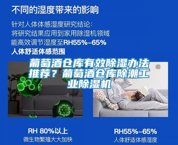 葡萄酒倉庫有效除濕辦法推薦？葡萄酒倉庫除潮工業(yè)除濕機(jī)