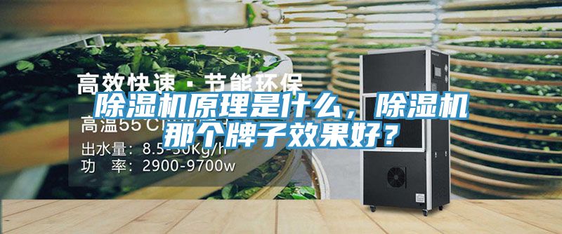 除濕機(jī)原理是什么，除濕機(jī)那個(gè)牌子效果好？