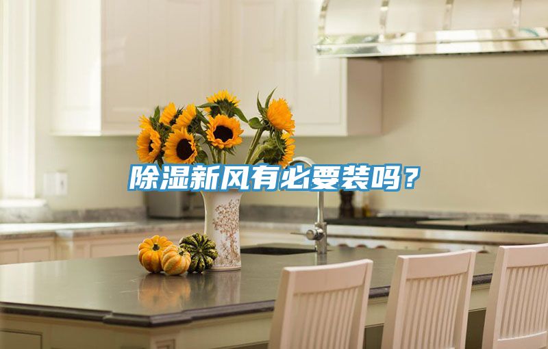 除濕新風(fēng)有必要裝嗎？