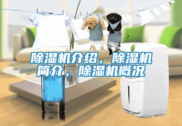 除濕機介紹，除濕機簡介，除濕機概況