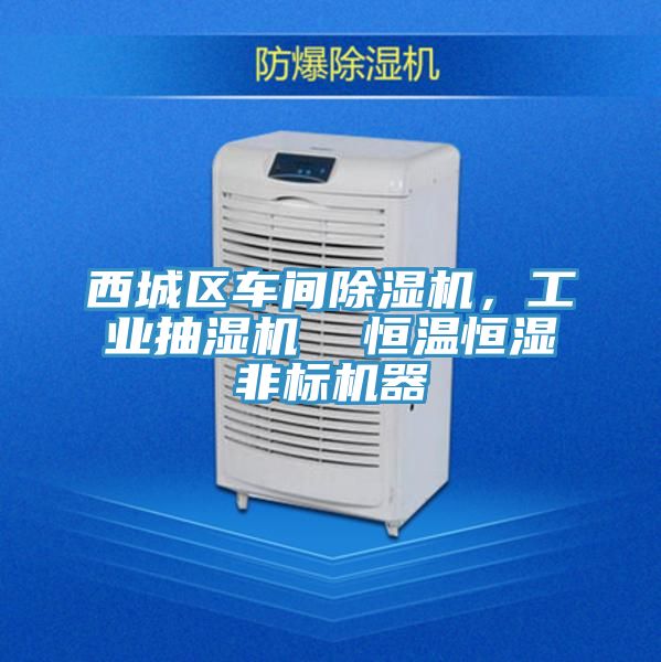 西城區(qū)車間除濕機(jī)，工業(yè)抽濕機(jī)  恒溫恒濕非標(biāo)機(jī)器