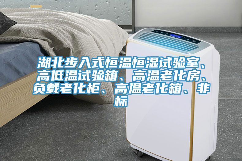 湖北步入式恒溫恒濕試驗室、高低溫試驗箱、高溫老化房、負載老化柜、高溫老化箱、非標
