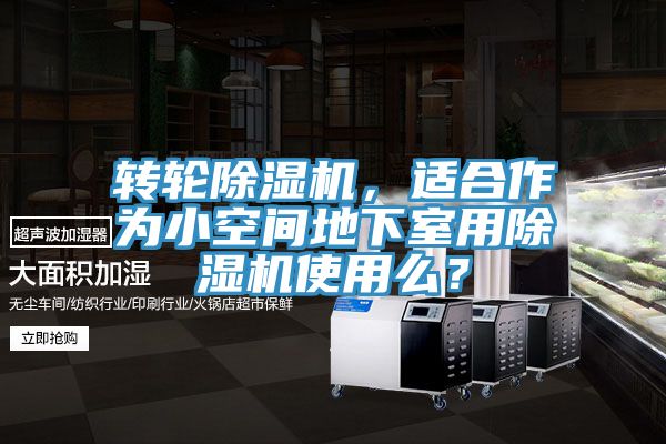 轉輪除濕機，適合作為小空間地下室用除濕機使用么？