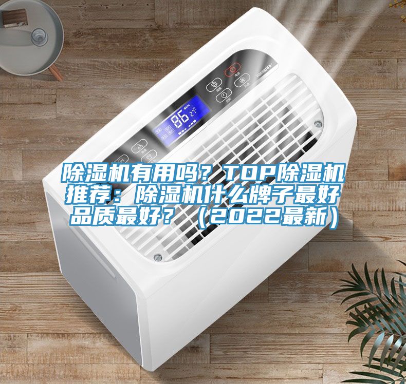 除濕機(jī)有用嗎？TOP除濕機(jī)推薦：除濕機(jī)什么牌子最好品質(zhì)最好？（2022最新）