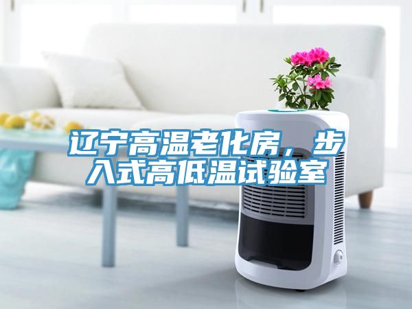 遼寧高溫老化房，步入式高低溫試驗室