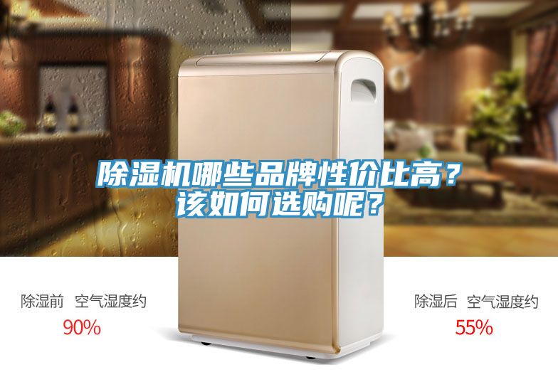 除濕機(jī)哪些品牌性價比高？該如何選購呢？