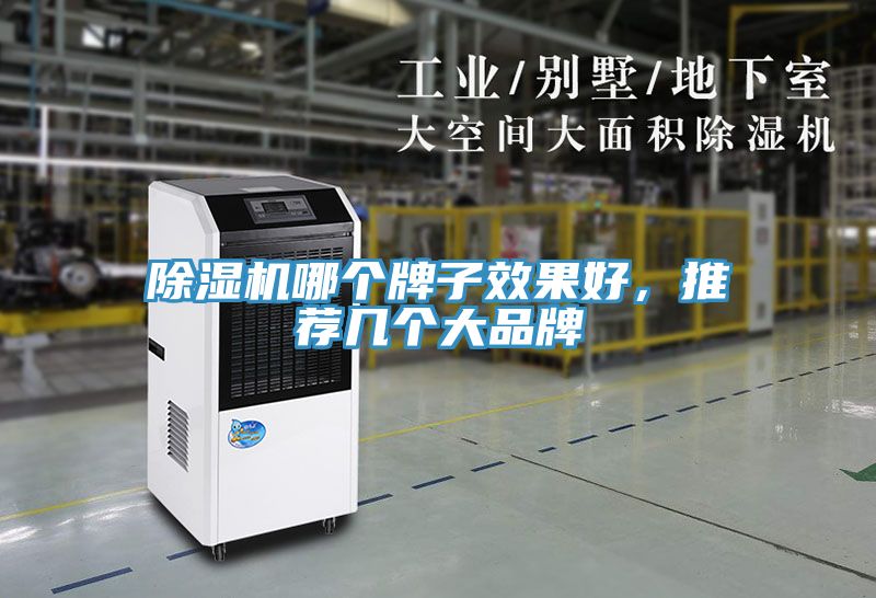 除濕機(jī)哪個牌子效果好，推薦幾個大品牌