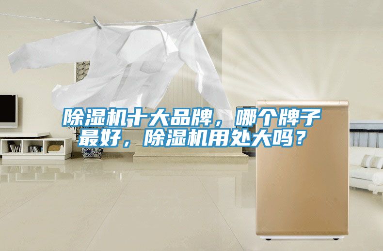 除濕機十大品牌，哪個牌子最好，除濕機用處大嗎？