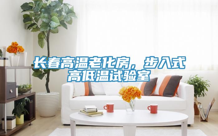 長春高溫老化房，步入式高低溫試驗(yàn)室