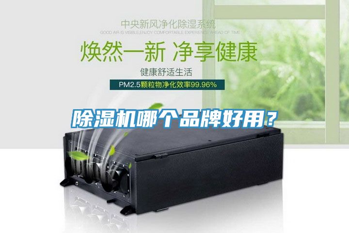 除濕機(jī)哪個(gè)品牌好用？