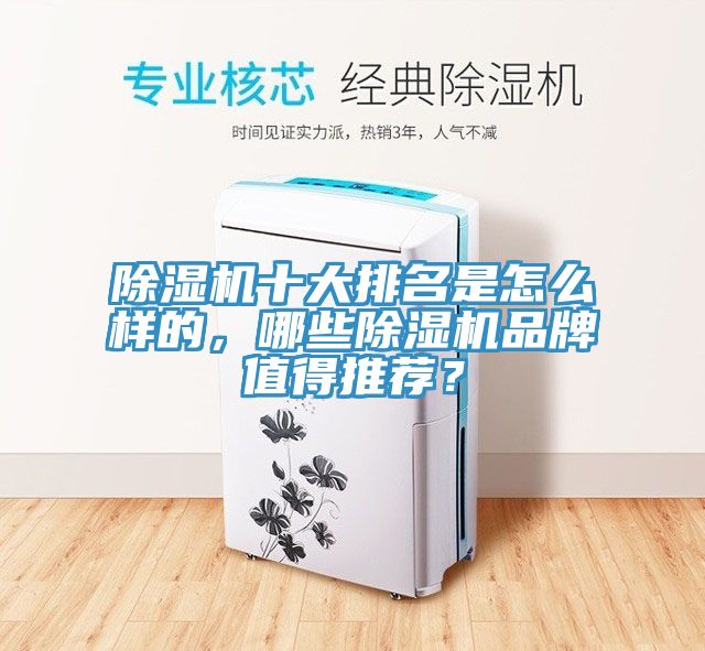 除濕機十大排名是怎么樣的，哪些除濕機品牌值得推薦？