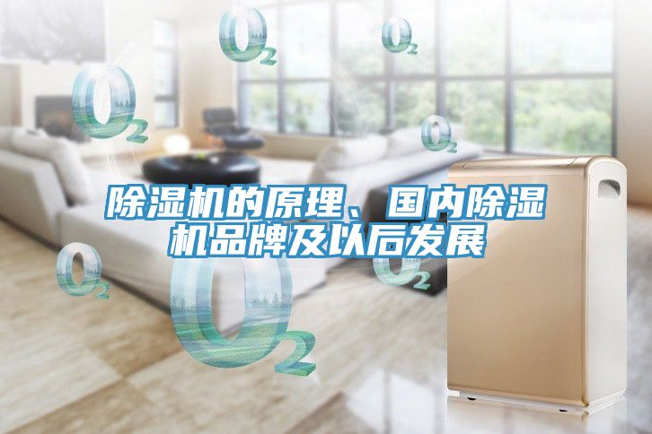 除濕機(jī)的原理、國內(nèi)除濕機(jī)品牌及以后發(fā)展