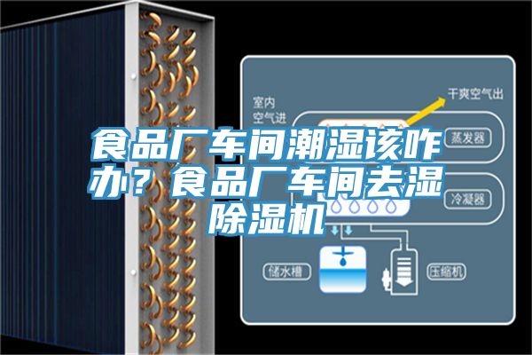 食品廠車間潮濕該咋辦？食品廠車間去濕除濕機(jī)