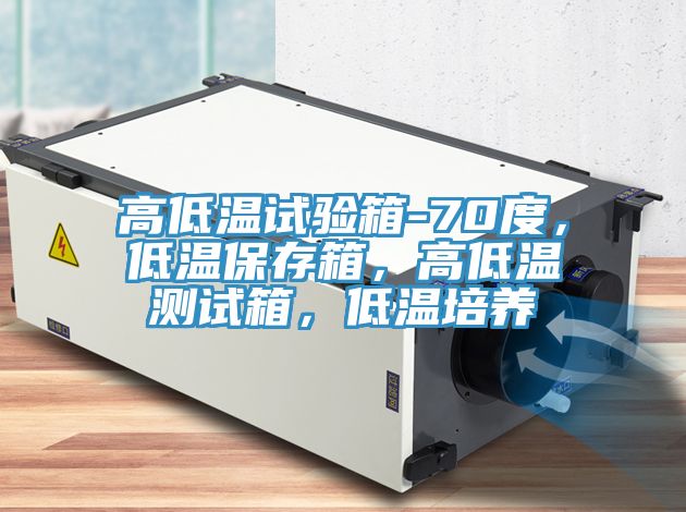 高低溫試驗箱-70度，低溫保存箱，高低溫測試箱，低溫培養(yǎng)