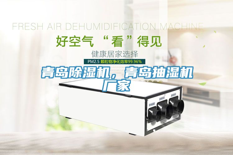 青島除濕機(jī)，青島抽濕機(jī)廠(chǎng)家