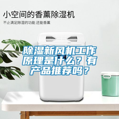 除濕新風(fēng)機(jī)工作原理是什么？有產(chǎn)品推薦嗎？