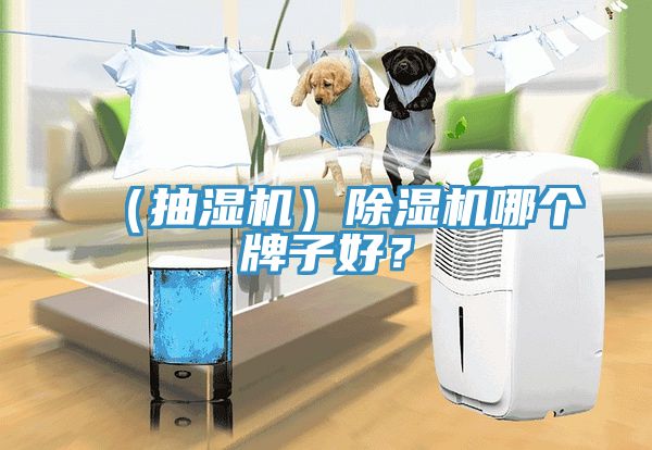 （抽濕機(jī)）除濕機(jī)哪個牌子好？