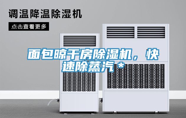 面包晾干房除濕機(jī)，快速除蒸汽＊