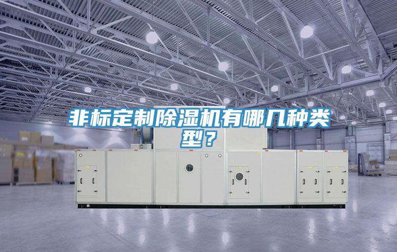非標(biāo)定制除濕機(jī)有哪幾種類(lèi)型？