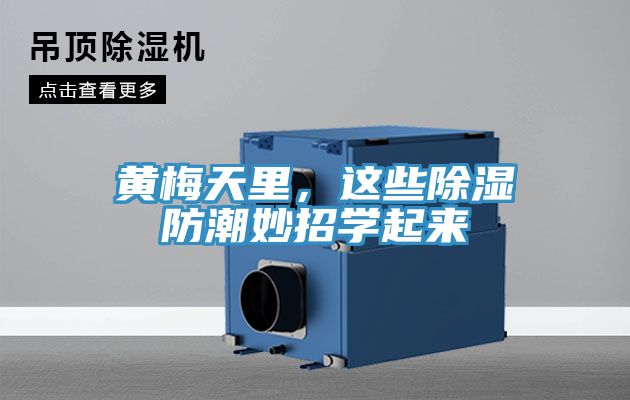 黃梅天里，這些除濕防潮妙招學起來