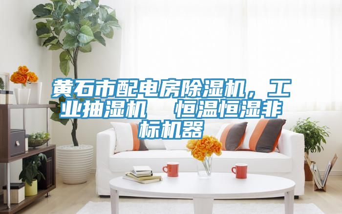 黃石市配電房除濕機，工業(yè)抽濕機  恒溫恒濕非標機器