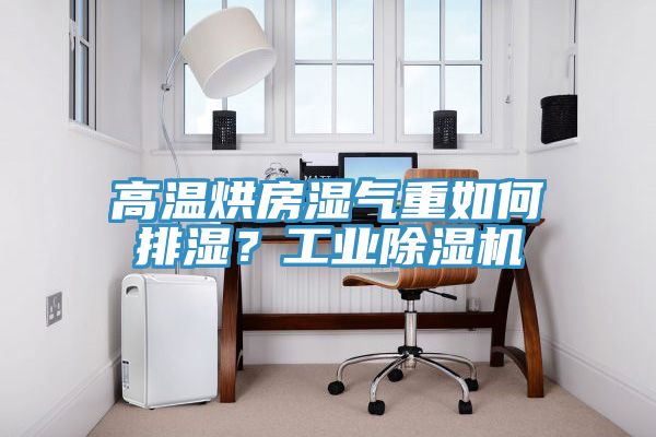 高溫烘房濕氣重如何排濕？工業(yè)除濕機