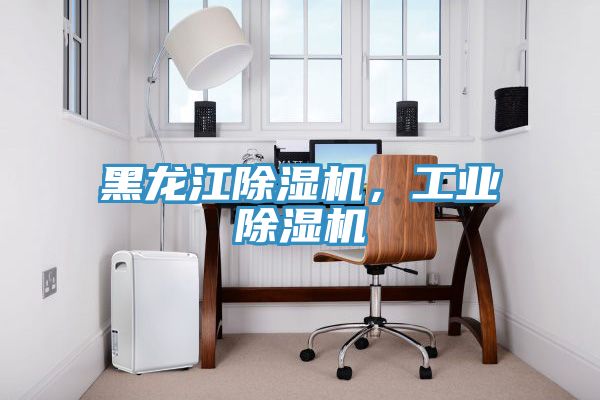 黑龍江除濕機，工業(yè)除濕機